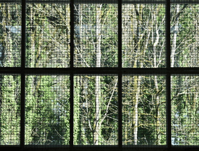 wire mesh